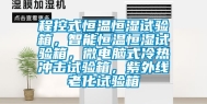 程控式恒温恒湿试验箱，智能恒温恒湿试验箱，微电脑式冷热冲击试验箱，紫外线老化试验箱