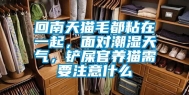 回南天猫毛都粘在一起，面对潮湿天气，铲屎官养猫需要注意什么
