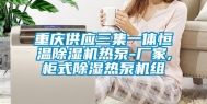 重庆供应三集一体恒温除湿机热泵-厂家,柜式除湿热泵机组