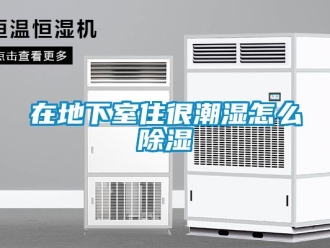企业新闻在地下室住很潮湿怎么除湿