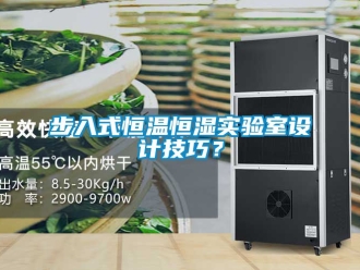 知识百科步入式恒温恒湿实验室设计技巧？