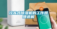 冷冻式除湿机的工作原理讲解