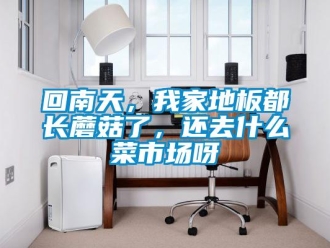 行业新闻回南天，我家地板都长蘑菇了，还去什么菜市场呀