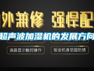 企业新闻超声波加湿机的发展方向