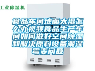 企业新闻食品车间地面太湿怎么办视频食品生产车间如何做好空间除湿和解决原料设备潮湿霉变问题