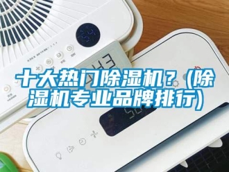 企业新闻十大热门除湿机？(除湿机专业品牌排行)