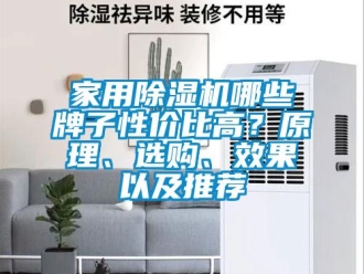 常见问题家用除湿机哪些牌子性价比高？原理、选购、效果以及推荐