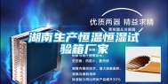 湖南生产恒温恒湿试验箱厂家