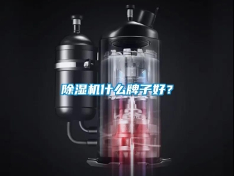 企业新闻除湿机什么牌子好？