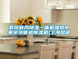 常见问题氧风新风除湿一体机维修中央吊顶管道除湿机(上海总部