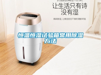 知识百科恒温恒湿试验箱常用除湿方法