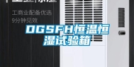 DGSFH恒温恒湿试验箱
