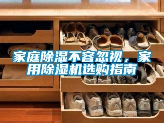常见问题家庭除湿不容忽视，家用除湿机选购指南