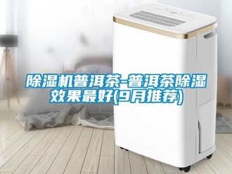 行业新闻除湿机普洱茶-普洱茶除湿效果最好(9月推荐)