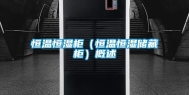 恒温恒湿柜（恒温恒湿储藏柜）概述