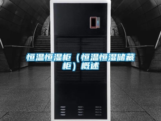知识百科恒温恒湿柜（恒温恒湿储藏柜）概述