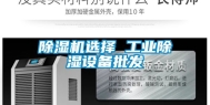除湿机选择 工业除湿设备批发