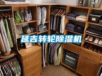 常见问题延吉转轮除湿机