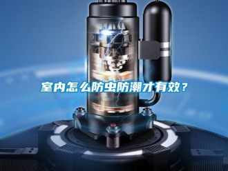常见问题室内怎么防虫防潮才有效？