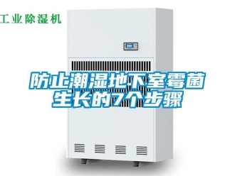 企业新闻防止潮湿地下室霉菌生长的7个步骤