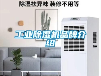 企业新闻工业除湿机品牌介绍