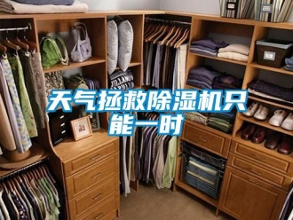 知识百科天气拯救除湿机只能一时