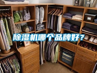 企业新闻除湿机哪个品牌好？