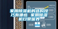 家用除湿机的选购技巧有哪些 家用除湿机日常保养