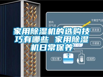 常见问题家用除湿机的选购技巧有哪些 家用除湿机日常保养