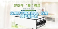 柠檬烘干设备参考，柠檬烘干除湿机