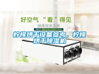 行业新闻柠檬烘干设备参考，柠檬烘干除湿机