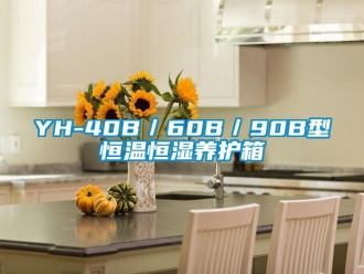 常见问题YH-40B／60B／90B型恒温恒湿养护箱