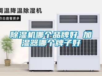 企业新闻除湿机哪个品牌好 加湿器哪个牌子好