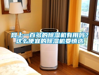 行业新闻网上一百多的除湿机有用吗？这么便宜的除湿机要慎选