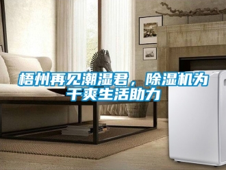 行业新闻梧州再见潮湿君，除湿机为干爽生活助力