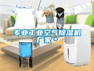企业新闻专业工业空气除湿机厂家＊