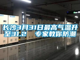 常见问题长沙3月31日最高气温升至31.2℃ 专家教你防潮