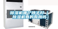 除湿机哪个牌子好（ 除湿机真的有用吗）