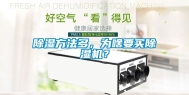 除湿方法多，为啥要买除湿机？