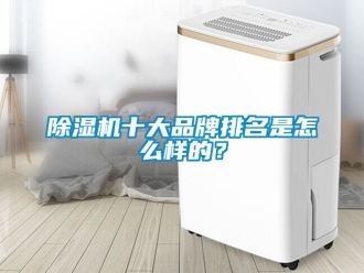 企业新闻除湿机十大品牌排名是怎么样的？