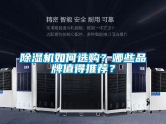 企业新闻除湿机如何选购？哪些品牌值得推荐？