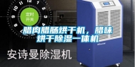 腊肉腊肠烘干机，腊味烘干除湿一体机