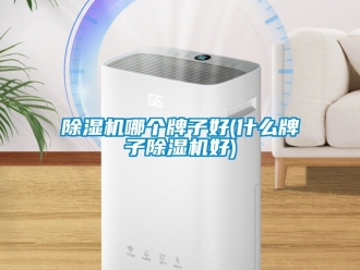 行业新闻除湿机哪个牌子好(什么牌子除湿机好)