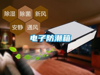 常见问题电子防潮箱