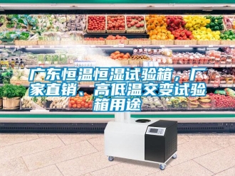 知识百科广东恒温恒湿试验箱，厂家直销、高低温交变试验箱用途