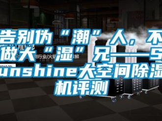 行业新闻告别伪“潮”人，不做大“湿”兄——Sunshine大空间除湿机评测