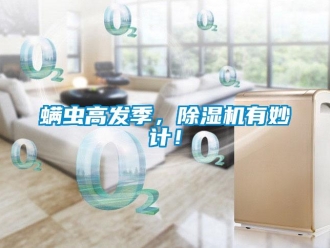 行业新闻螨虫高发季，除湿机有妙计！