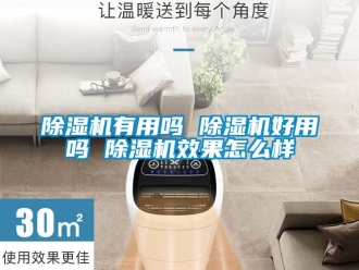 行业新闻除湿机有用吗 除湿机好用吗 除湿机效果怎么样
