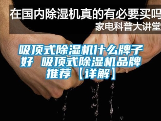 企业新闻吸顶式除湿机什么牌子好 吸顶式除湿机品牌推荐【详解】