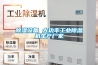 除湿设备 大功率工业除湿机生产厂家